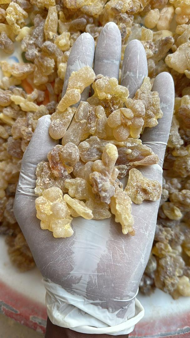 Natural Resins Somalia